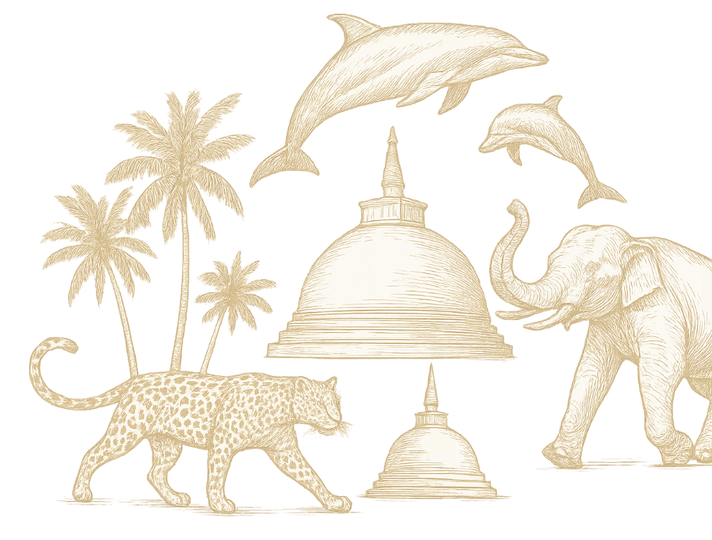 Sri Lanka Wildlife Illustration